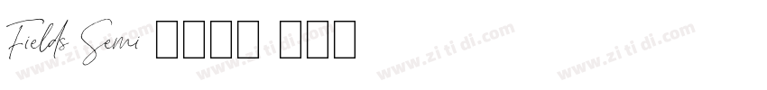Fields Semi 全套字体字体转换